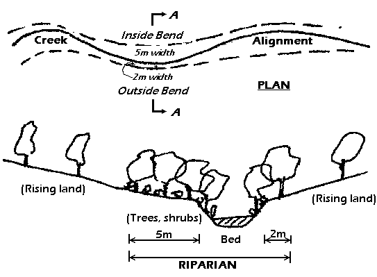 plan and section of a riparian zone